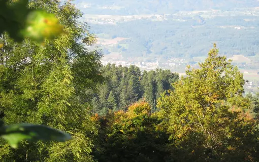 Beuri&egrave;res en images