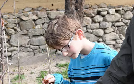 Les animations et festivit&eacute;s &agrave; Beuri&egrave;res