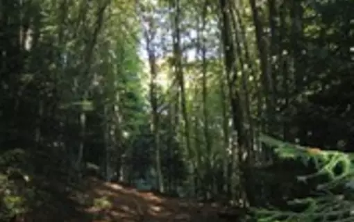 Beuri&egrave;res en images