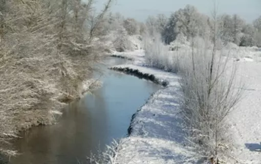 Beuri&egrave;res en images